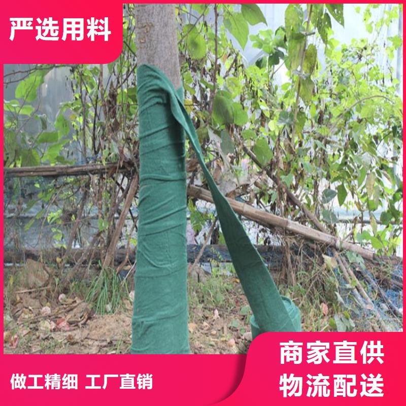 裹树布