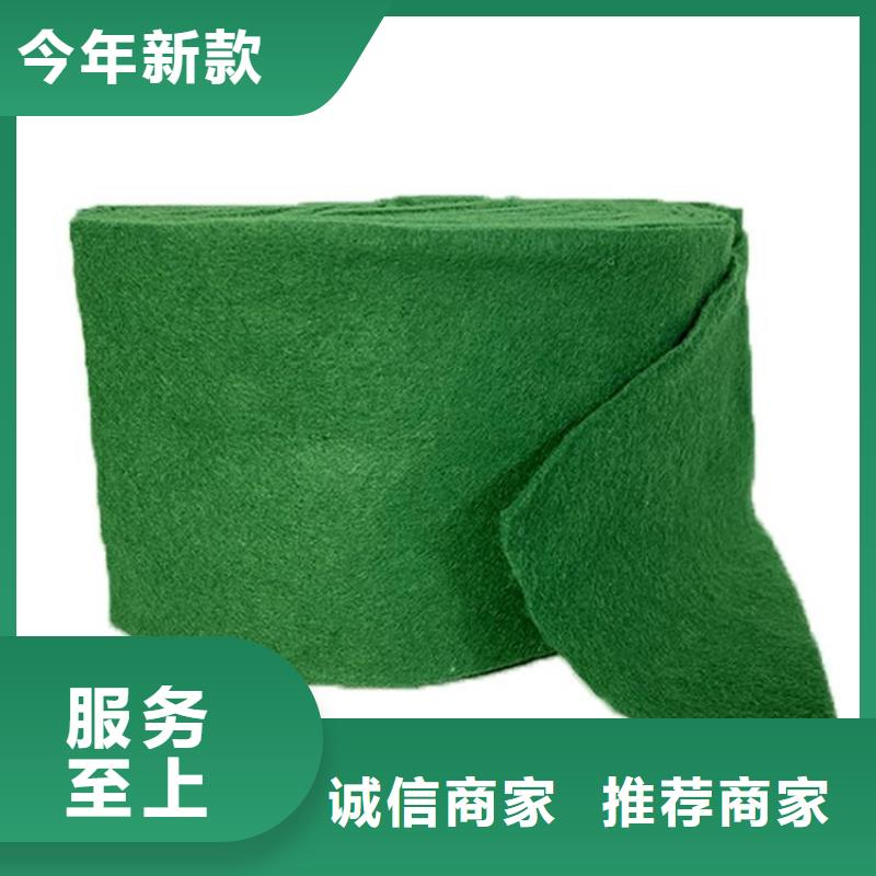 裹树布报价实在