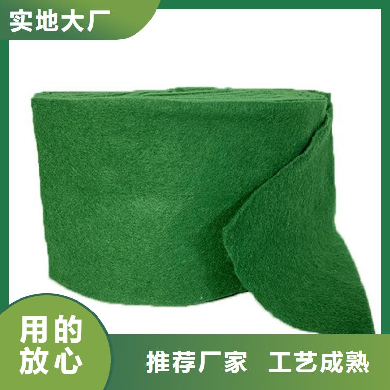 缠树布缠树带