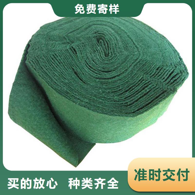 裹树布防水排水板源头厂家经验丰富