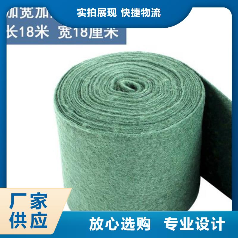 裹树布_防水板厂家直销直供