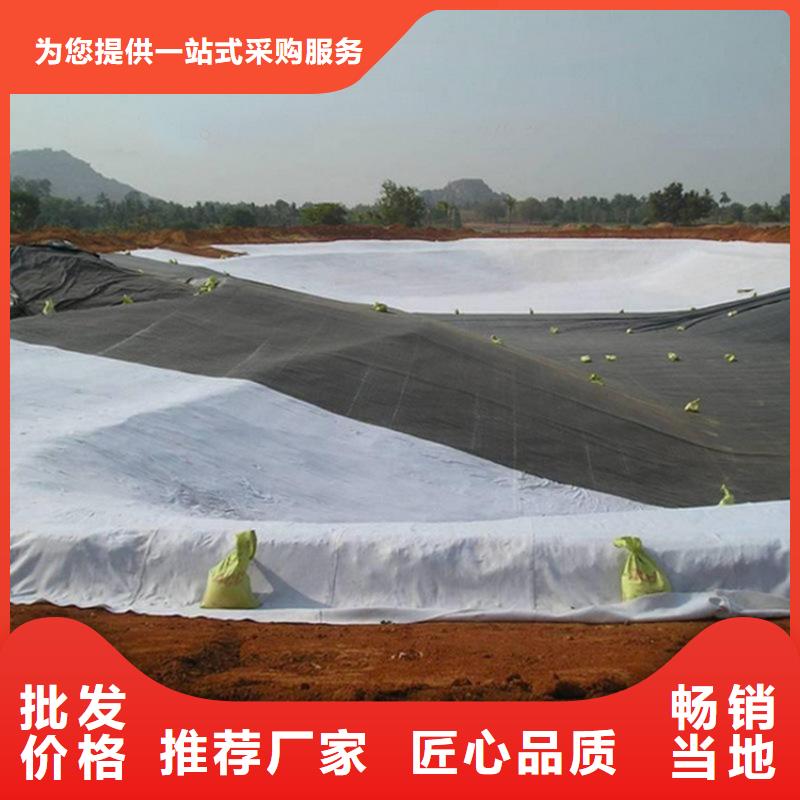 石油化工防渗膜