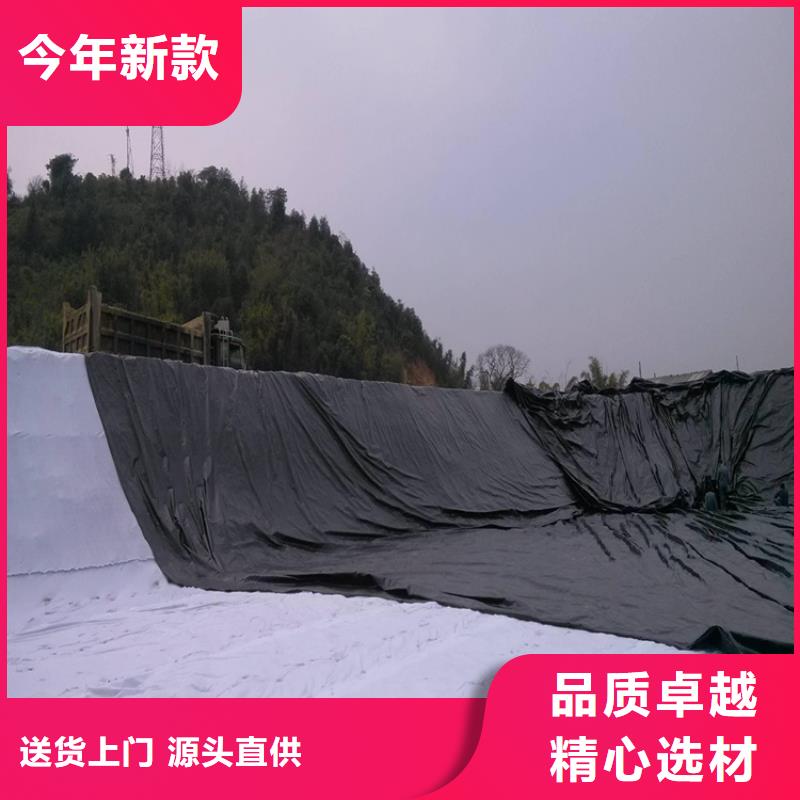防水板锚固片