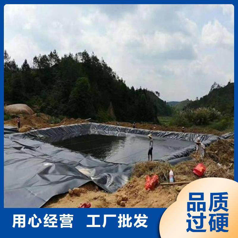 防水板锚固片