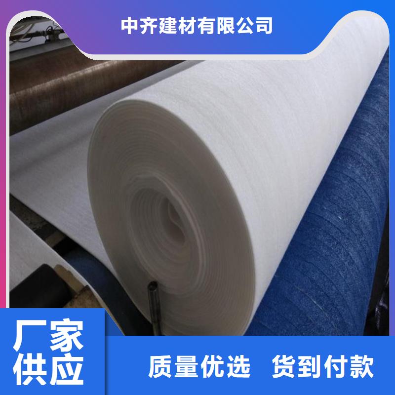 无纺针刺无纺土工布