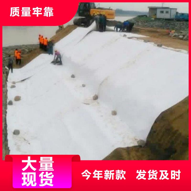 无纺针刺防渗土工布