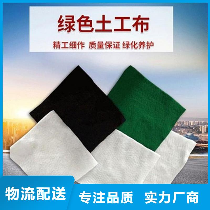 无纺针刺滤水土工布