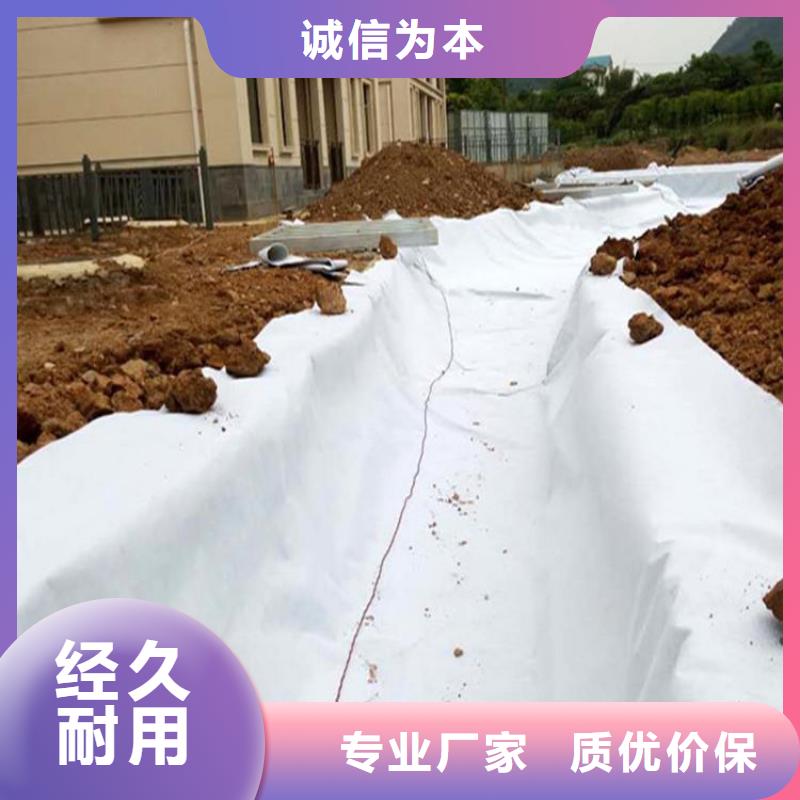无纺针刺滤水土工布