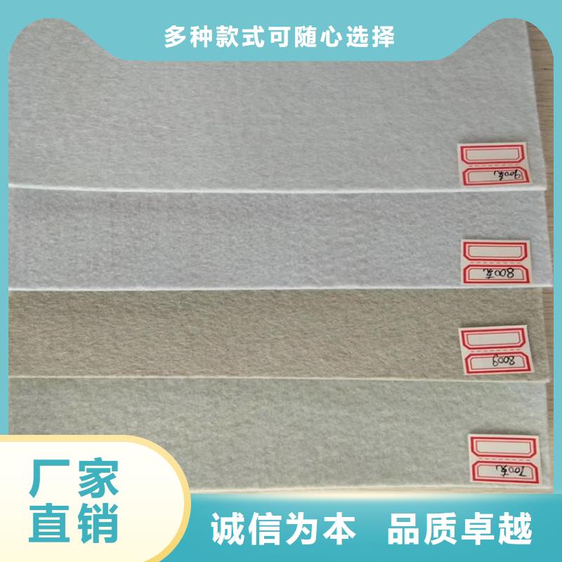 PET聚酯长丝土工布