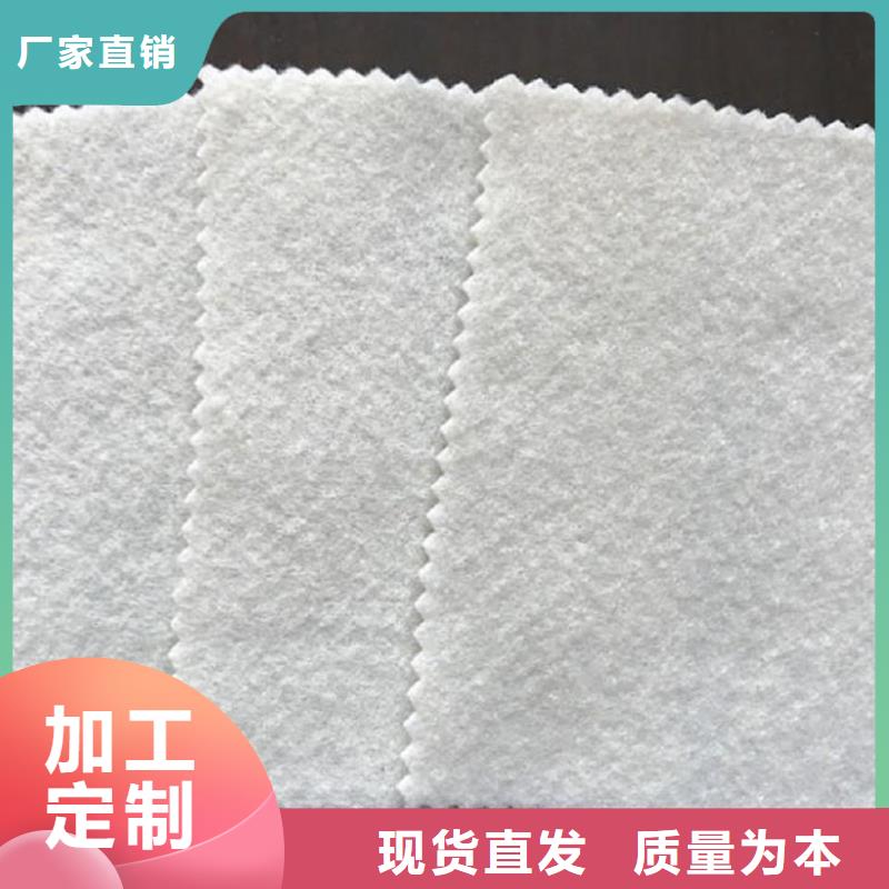 PET聚酯长丝土工布