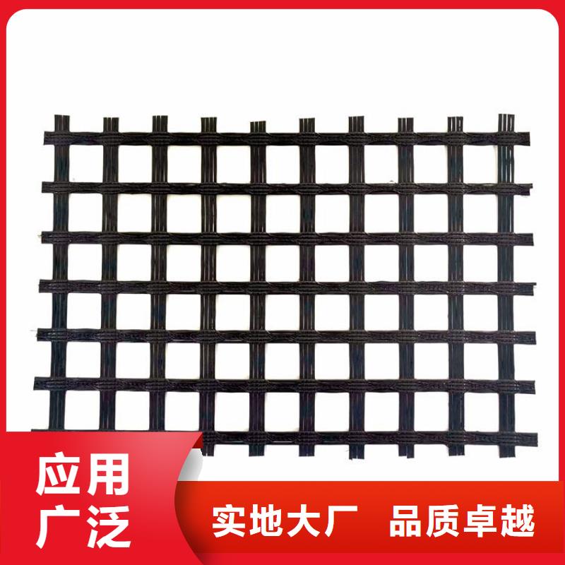 PE土工格栅