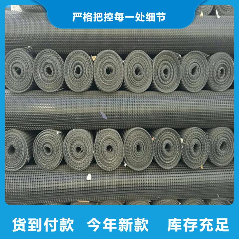 PE单向土工格栅