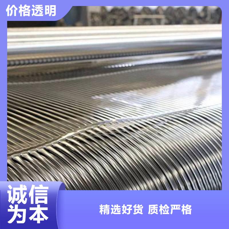 土工格栅拉筋带大品牌值得信赖