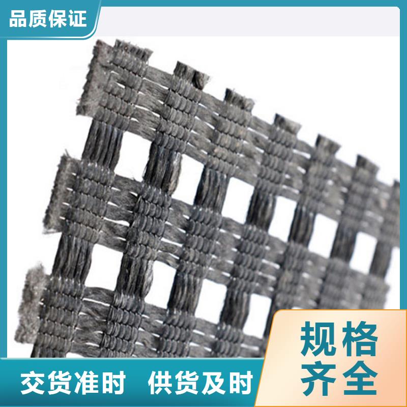 PE土工格栅