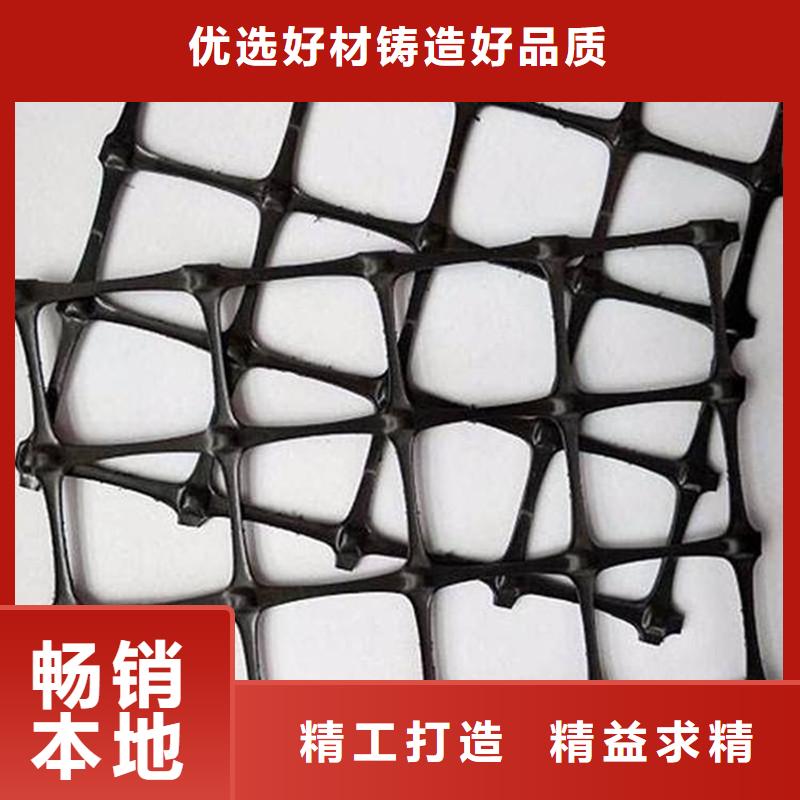 PE单向土工格栅