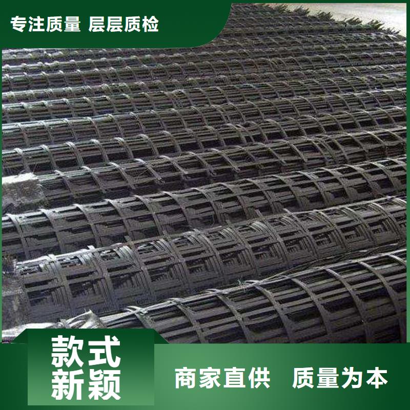 PE土工格栅