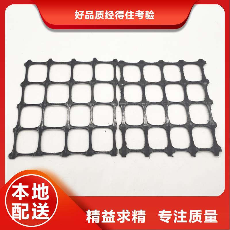 PE单向土工格栅