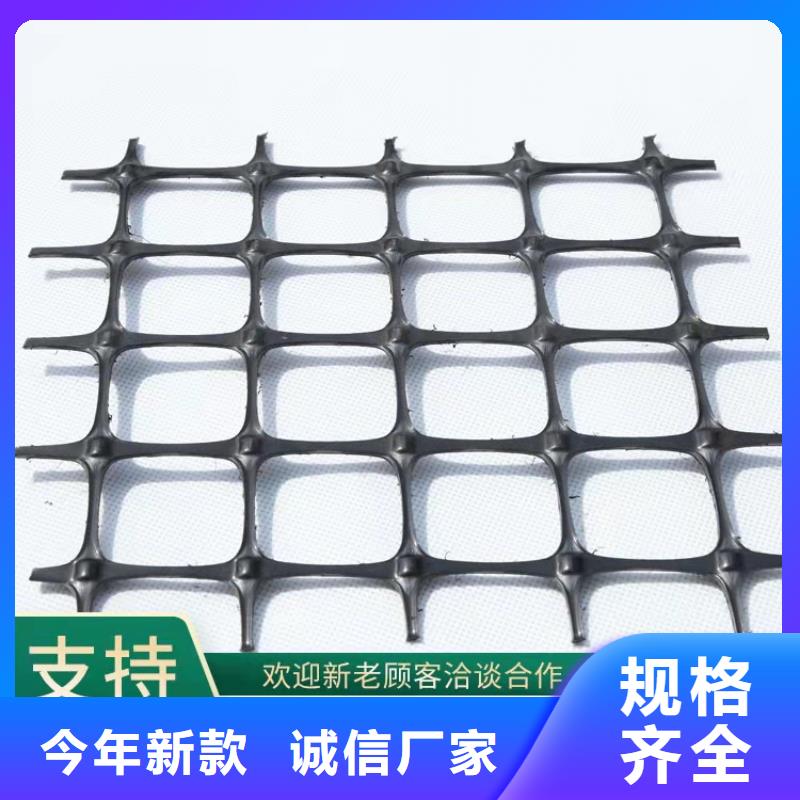 玻纤双向土工格栅