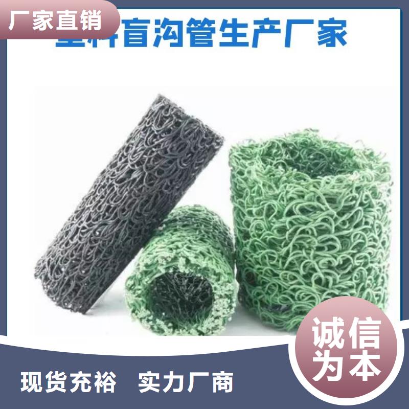 【塑料盲沟】土工格栅实力见证