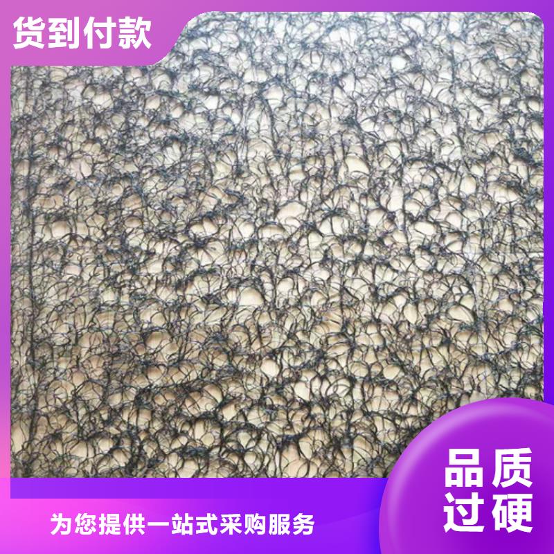 通风降噪丝网_HDPE土工膜一个起售