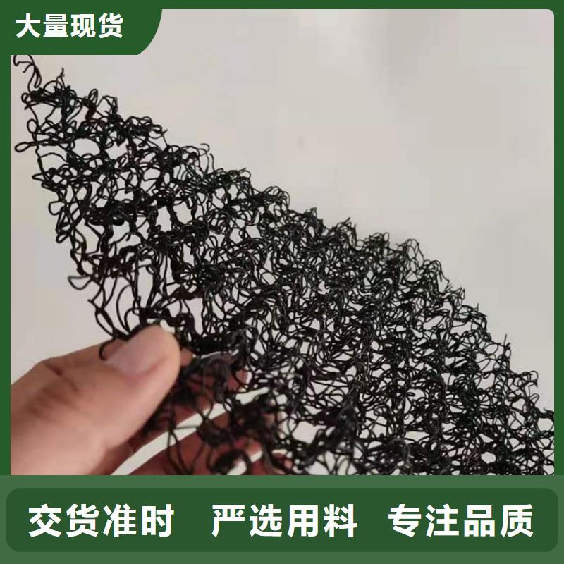 水土保护毯双向塑料土工格栅极速发货
