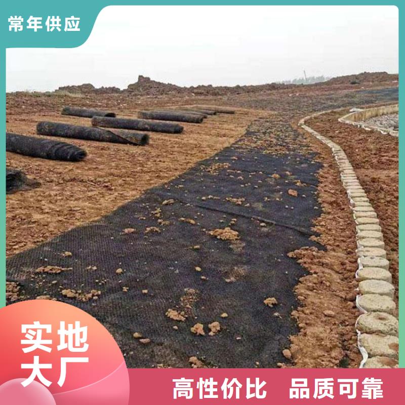 水土保护毯HDPE土工膜采购