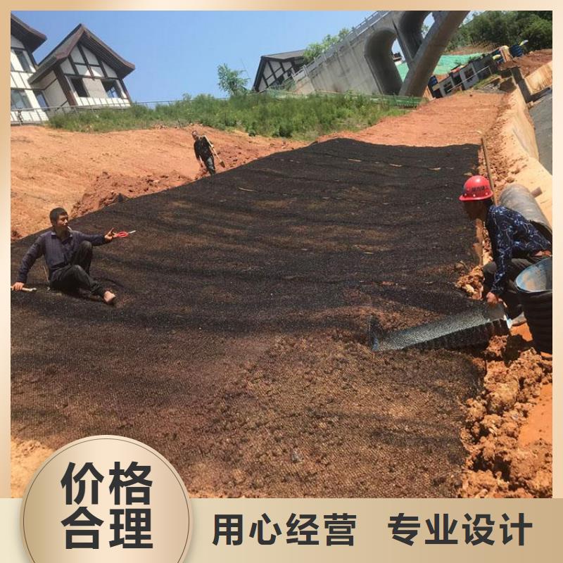 水土保护毯_玻纤格栅真材实料加工定制