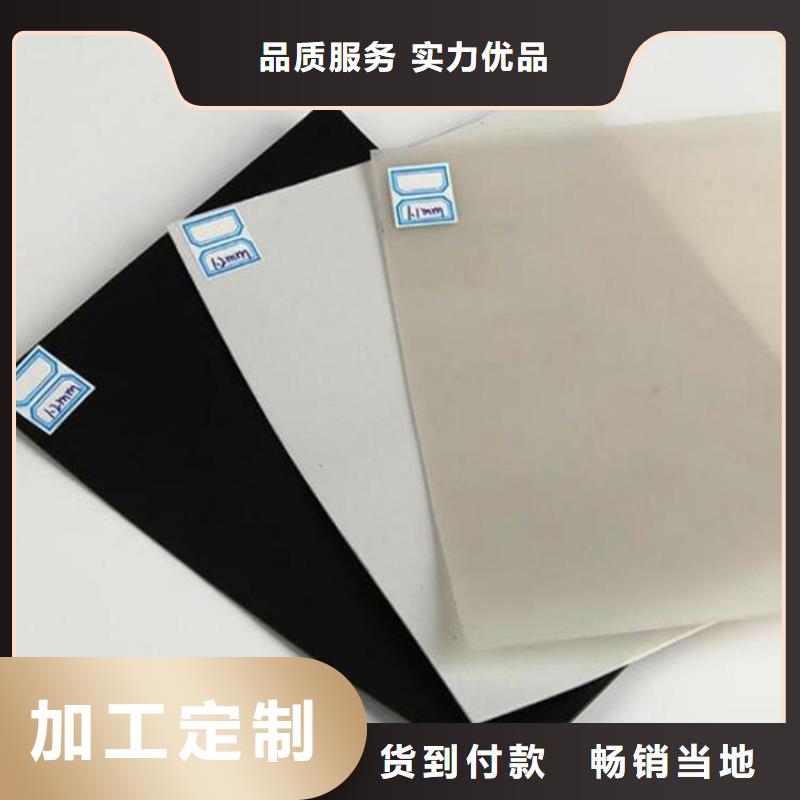 防水板-生态带厂家型号齐全