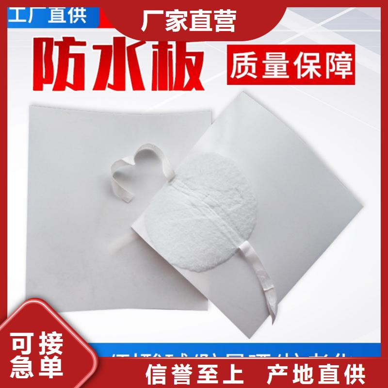 防水板-生态带厂家型号齐全