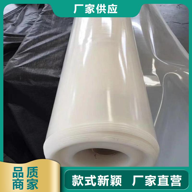 防水板土工格栅本地配送