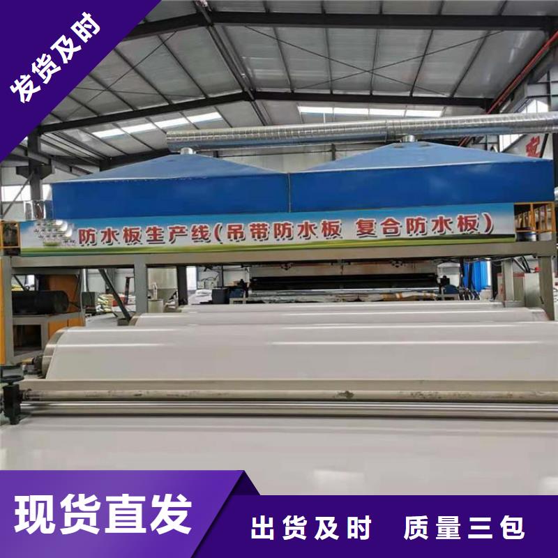 防水板HDPE土工膜厂家
