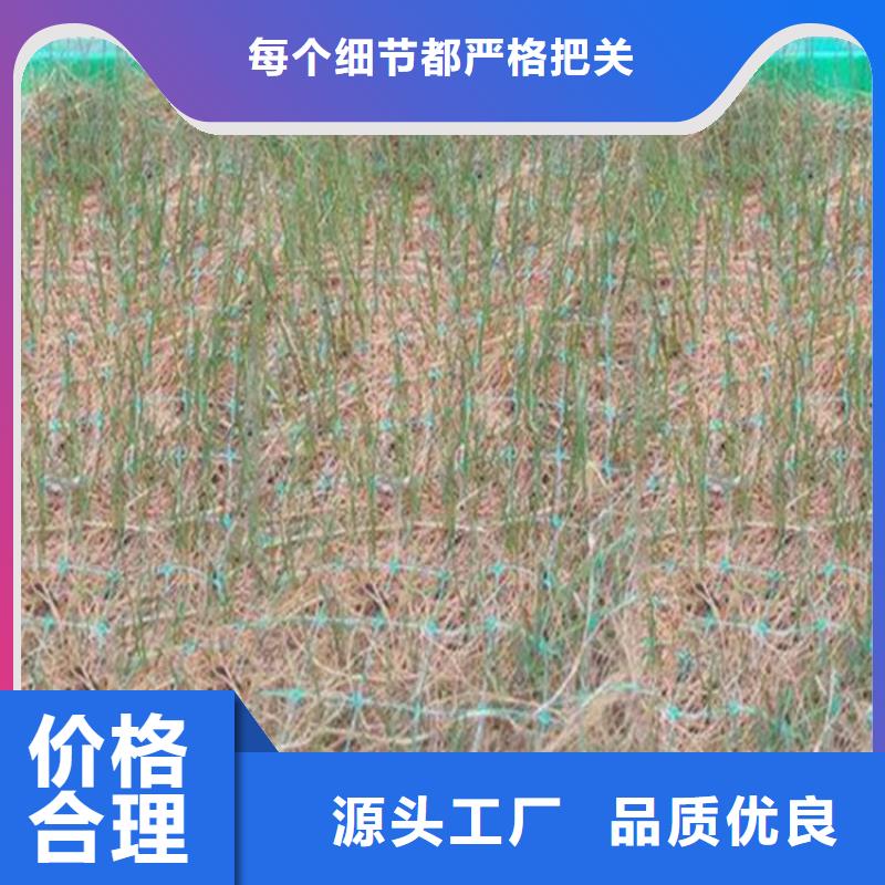 椰丝毯车库顶板排水板原料层层筛选