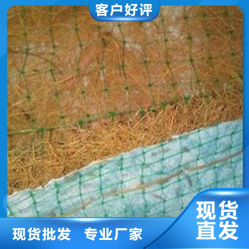 护坡生态草毯护坡植被植草毯