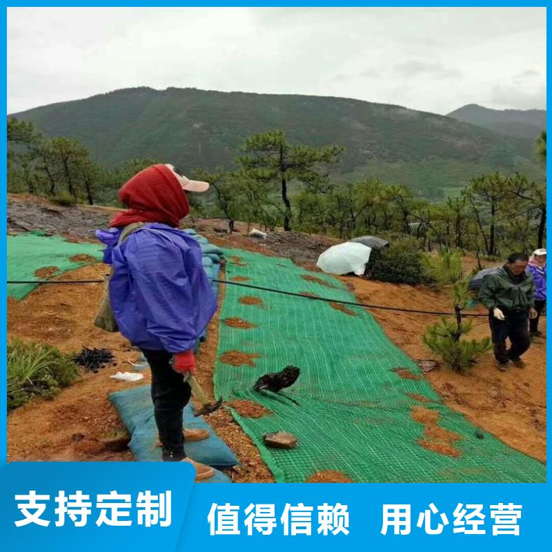 水保抗冲生物毯批发量大从优