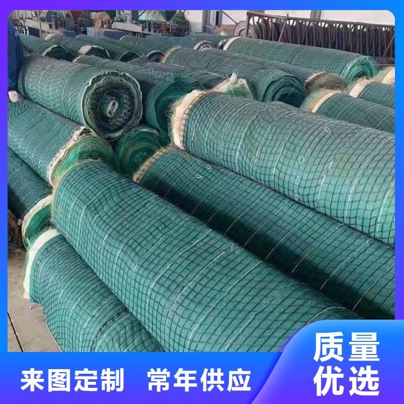 抗冲刷生态毯