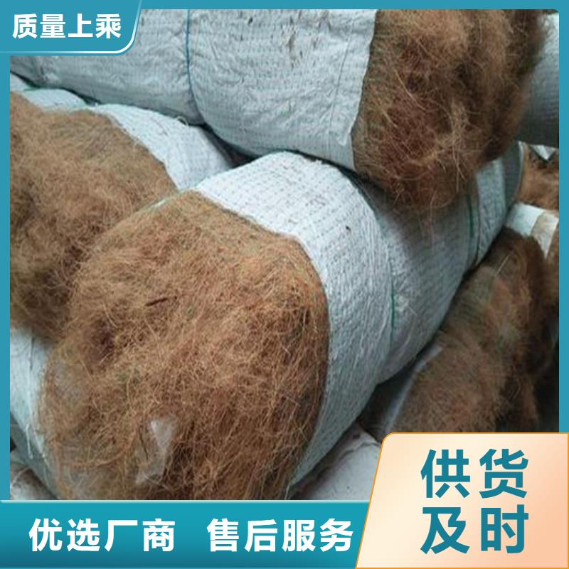 护坡植被植草毯量大可定制