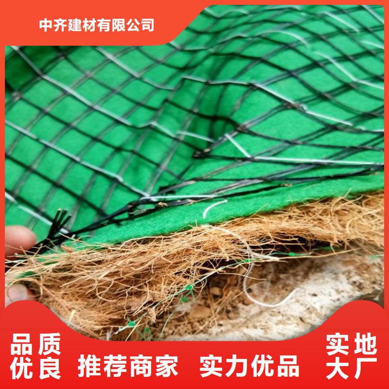 椰丝毯_双向塑料土工格栅实力才是硬道理