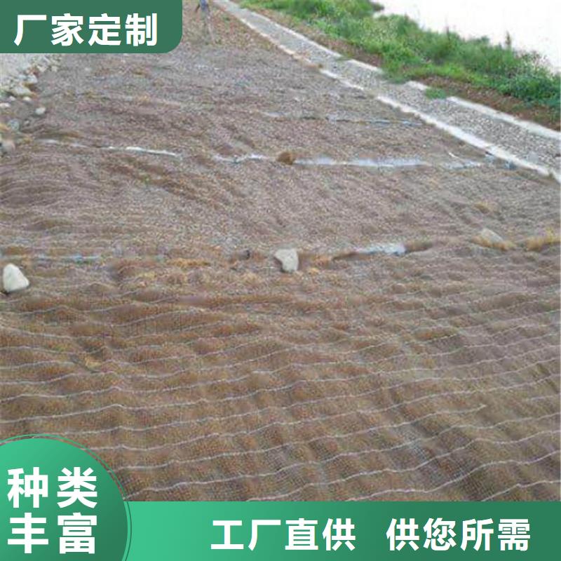 加筋抗冲生态毯椰丝植草毯