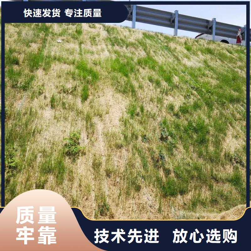 陵水县水保椰丝毯厂家