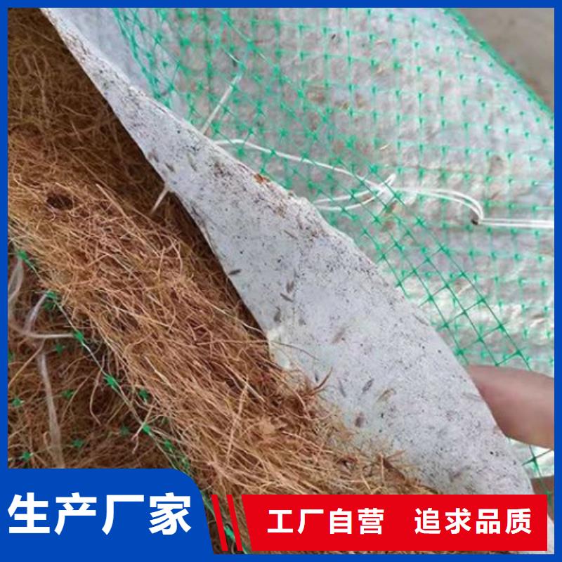 抗冲刷生态毯