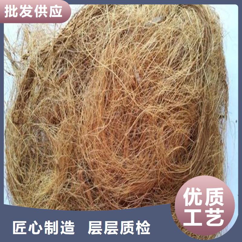 椰丝毯_双向塑料土工格栅实力才是硬道理