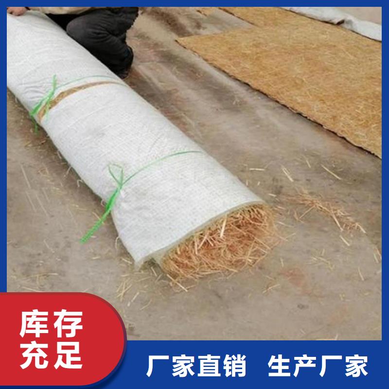 护坡植被植草毯量大可定制
