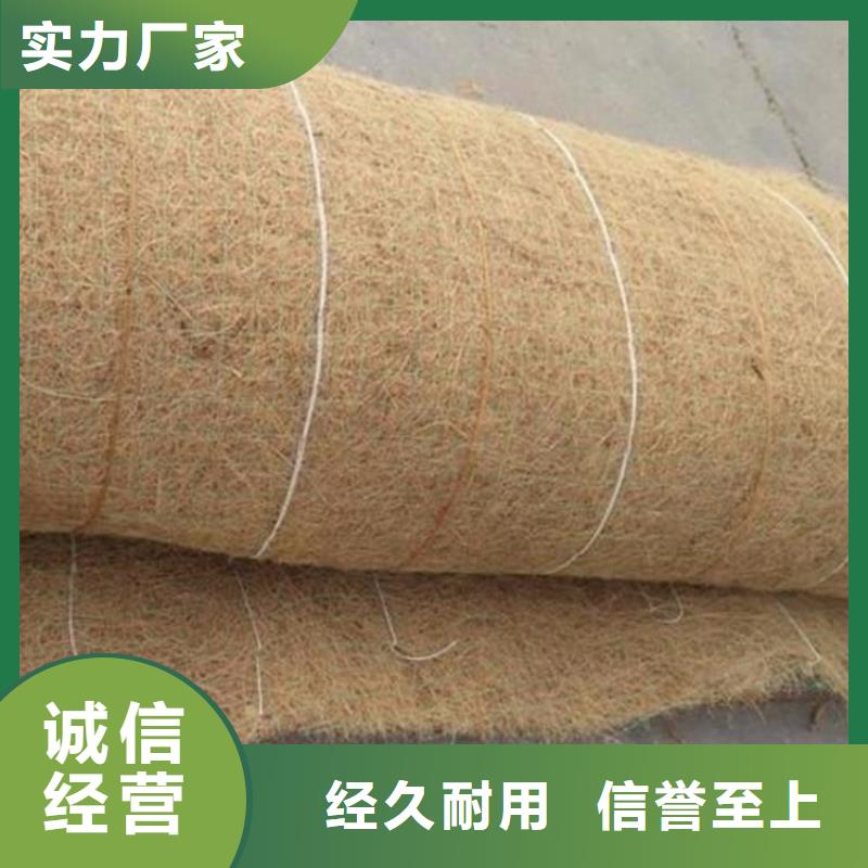 植被毯植被毯