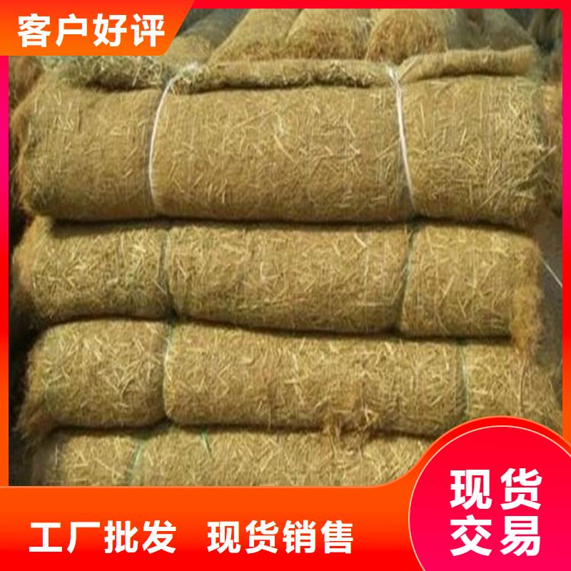 水保椰丝毯销售