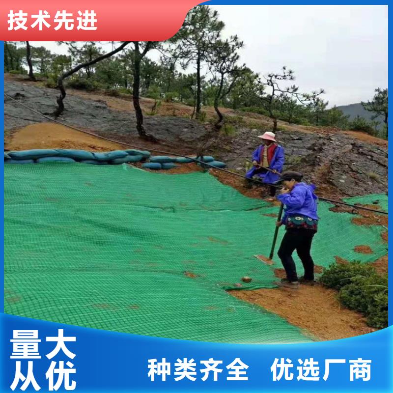 护坡生态草毯护坡植被植草毯