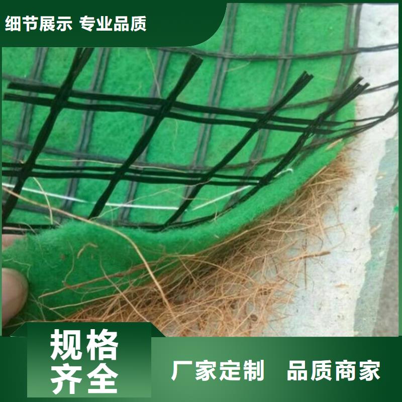 护坡生态草毯护坡植被植草毯
