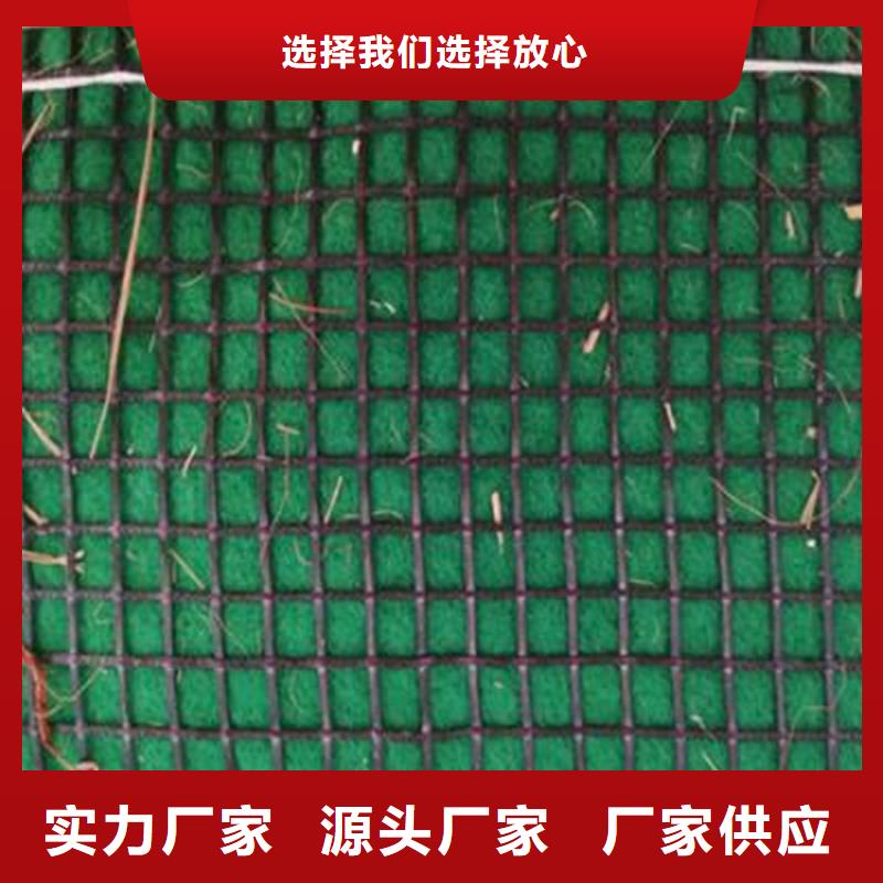 植被毯椰丝毯