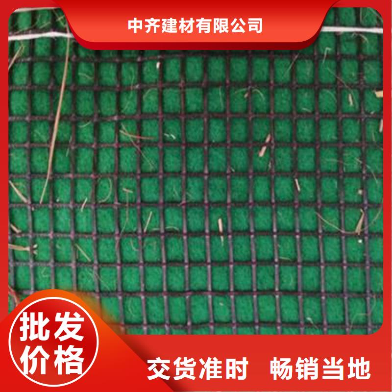 水保抗冲生物毯纤维草毯
