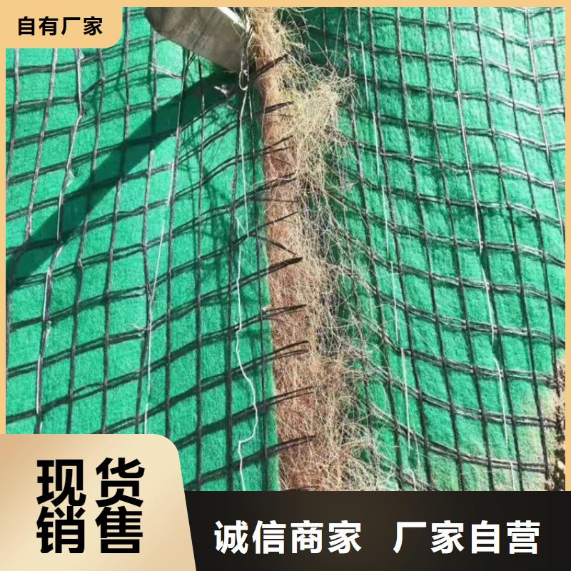 加筋抗冲生态毯抗冲植物毯