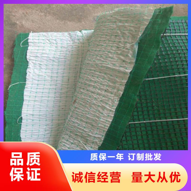 生态植物防护毯护坡植被植草毯